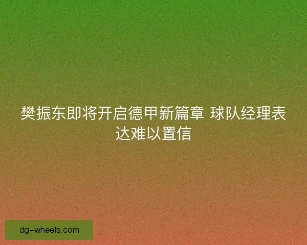 樊振东即将开启德甲新篇章 球队经理表达难以置信
