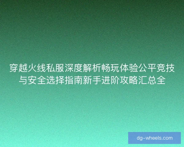 穿越火线私服深度解析畅玩体验公平竞技与安全选择指南新手进阶攻略汇总全
