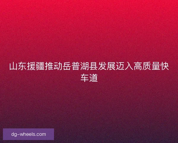 山东援疆推动岳普湖县发展迈入高质量快车道