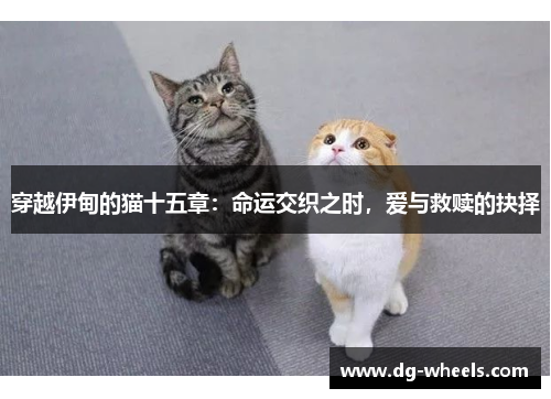 穿越伊甸的猫十五章：命运交织之时，爱与救赎的抉择